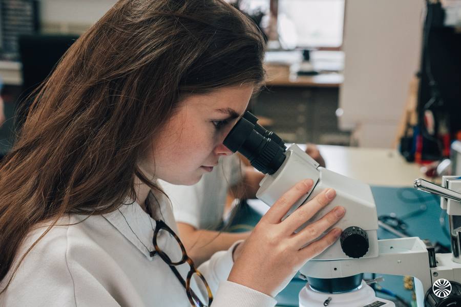 Observation au microscope en laboratoire